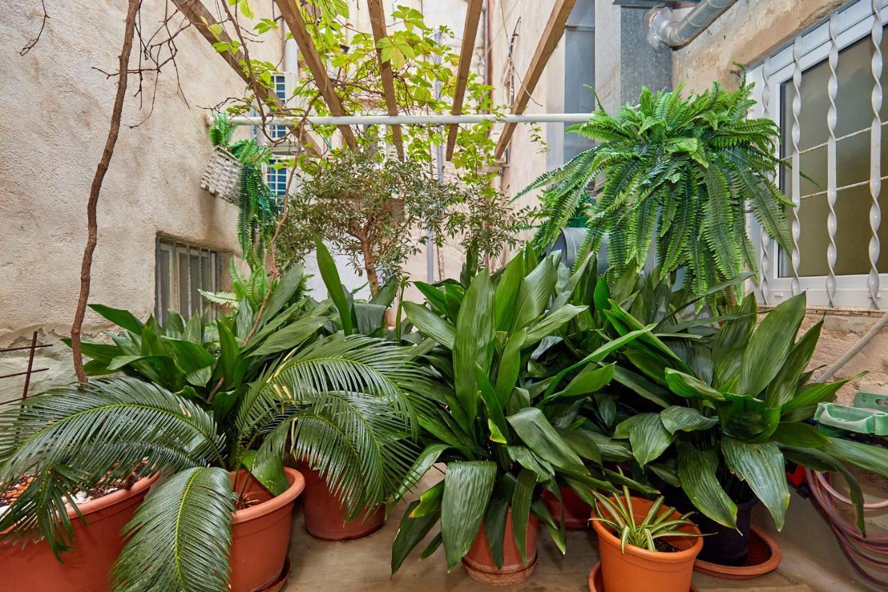 Hidden Gem Old Town Apartment Dubrovnik Ngoại thất bức ảnh